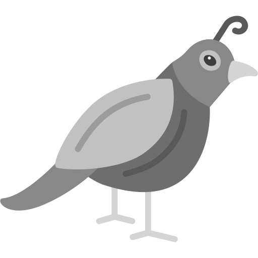 Quail QGIS Layer Server